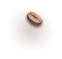 Bean